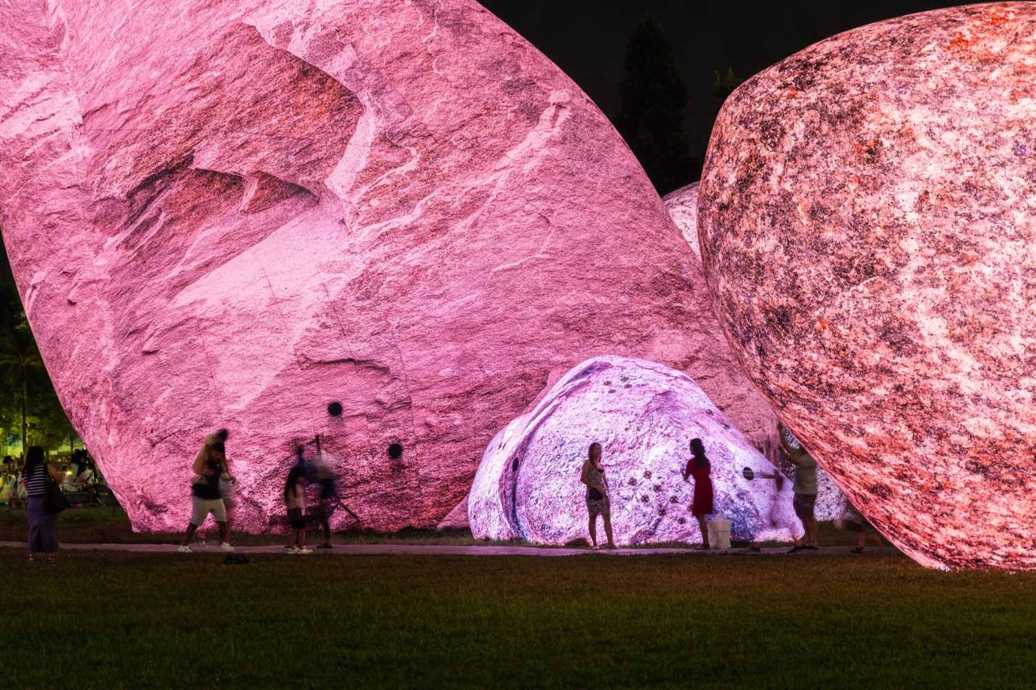 Iwagumi Dismisura Bologna