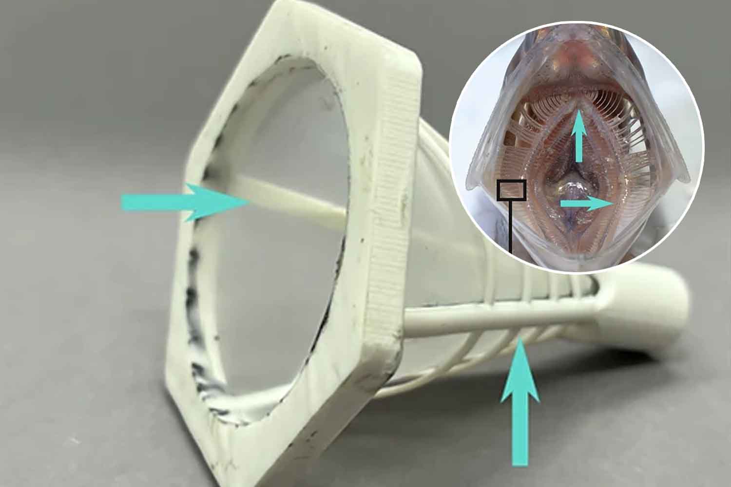 lavatrice filtro che può fermare le microplastiche