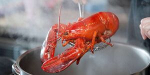 Crabs and lobsters react to painkillers: it’s proof that they suffer (and that it’s time to say no to cruel boiling)