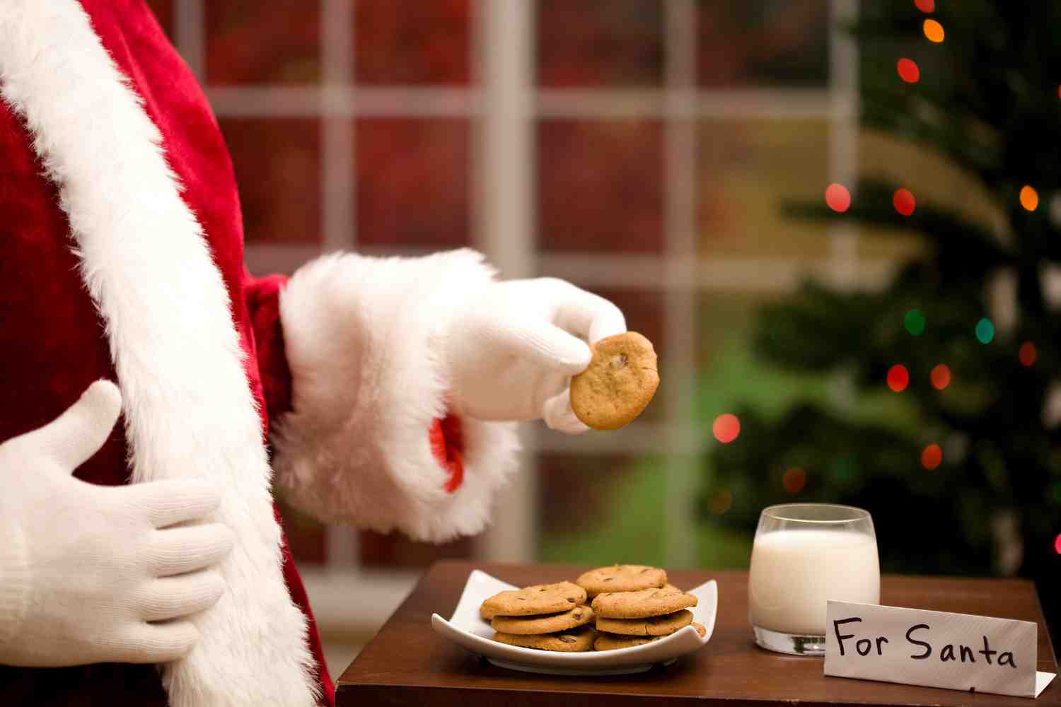 latte e biscotti per babbo natale (1)