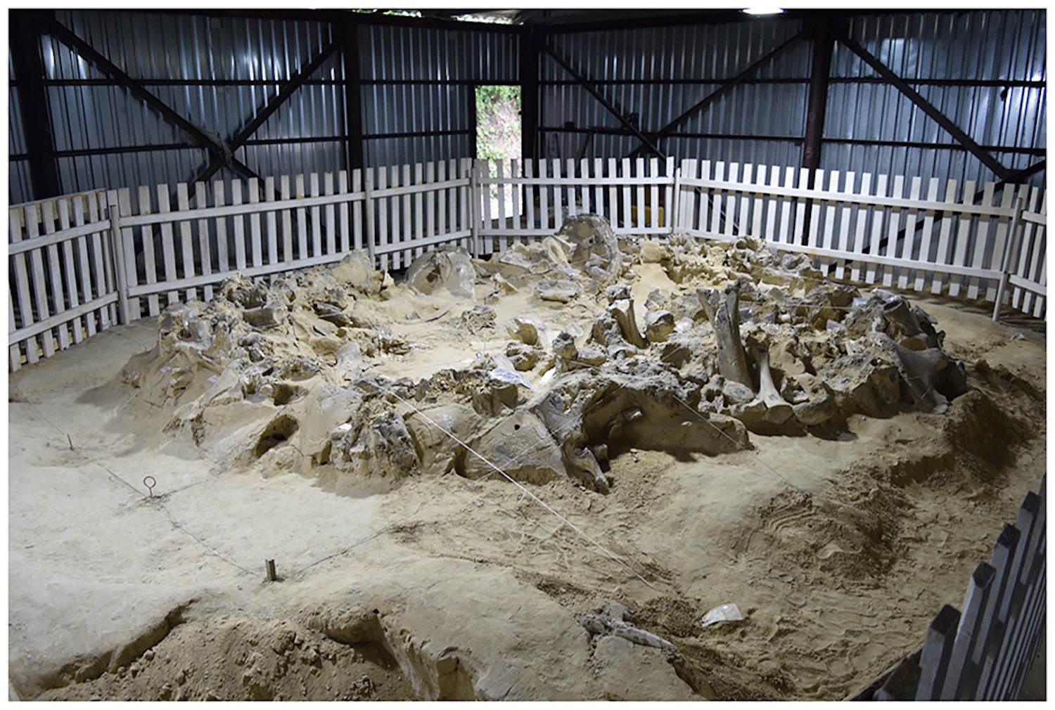 Ice Age survival shelters