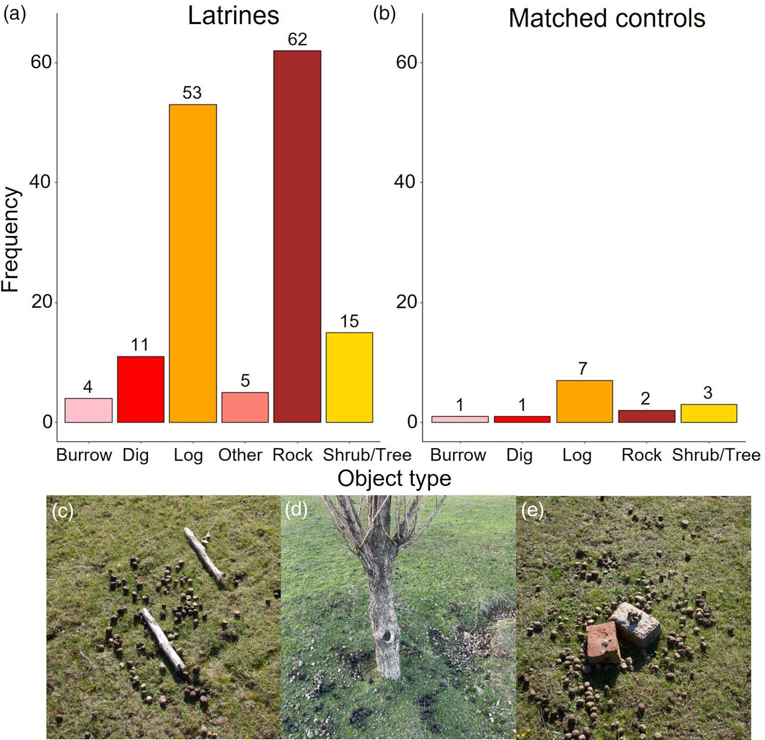 Wombats cube poop exchange of information