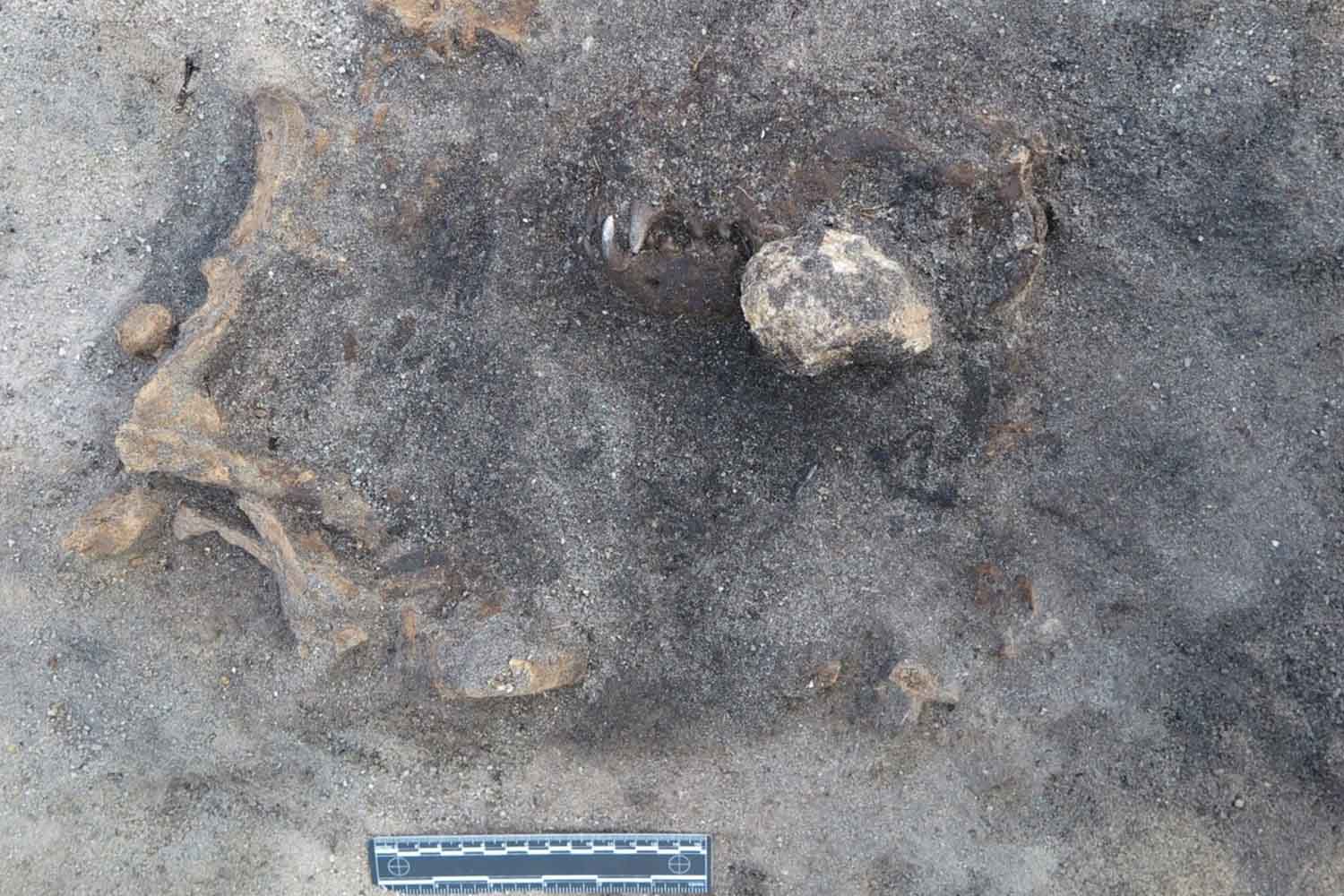 Carl Persson - Blekinge Museum