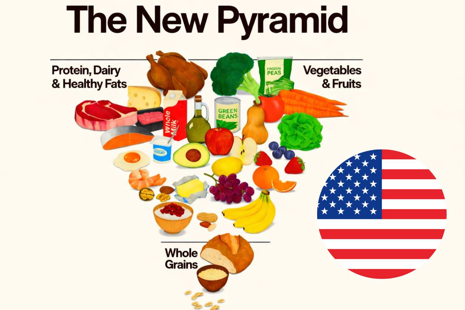 nuova piramide alimentare usa
