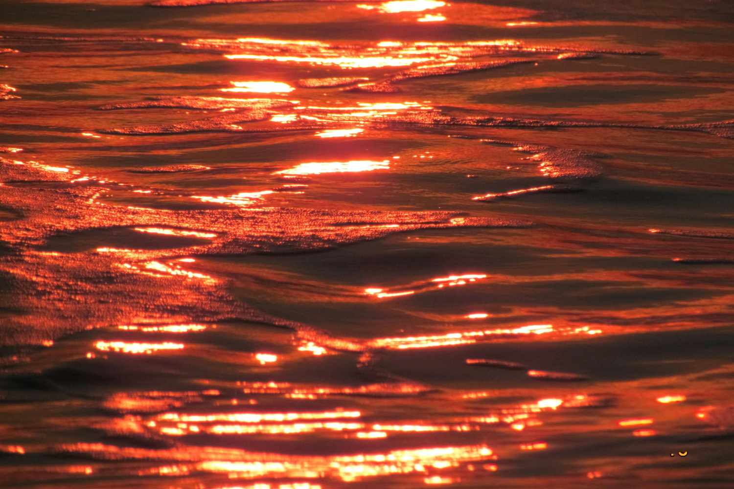 The oceans are boiling: so record heat waves expose us to climate disasters