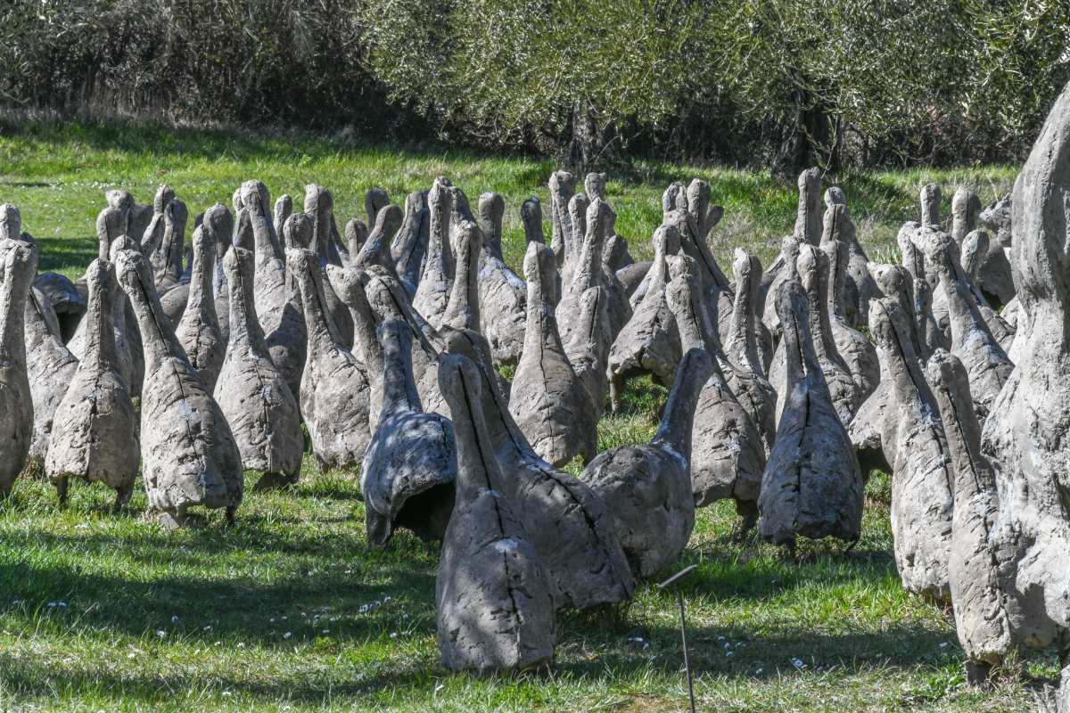 daniel spoerri's garden (2)