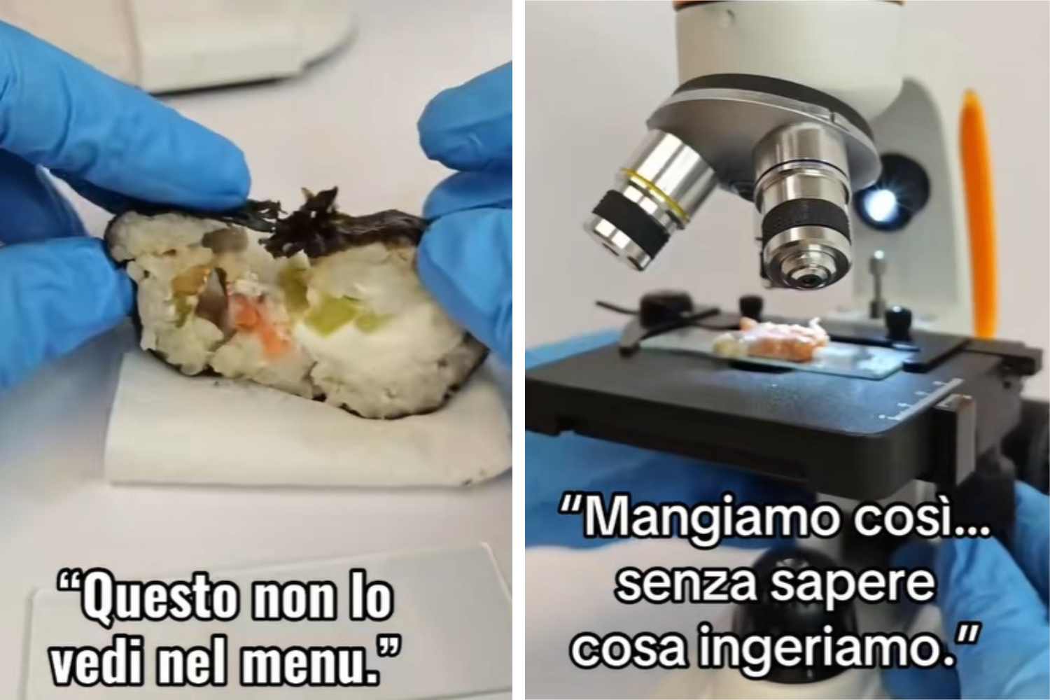 sushi al microscopio