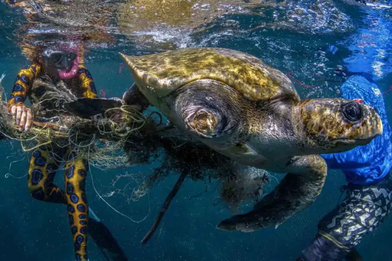 James Ferrara Anthropocene