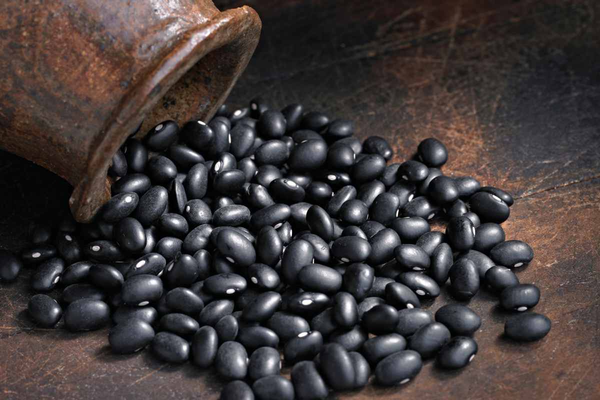 black beans