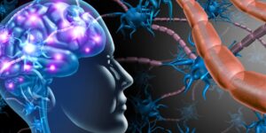 Are you inconsistent? An area of ​​your brain is less active, a study shows