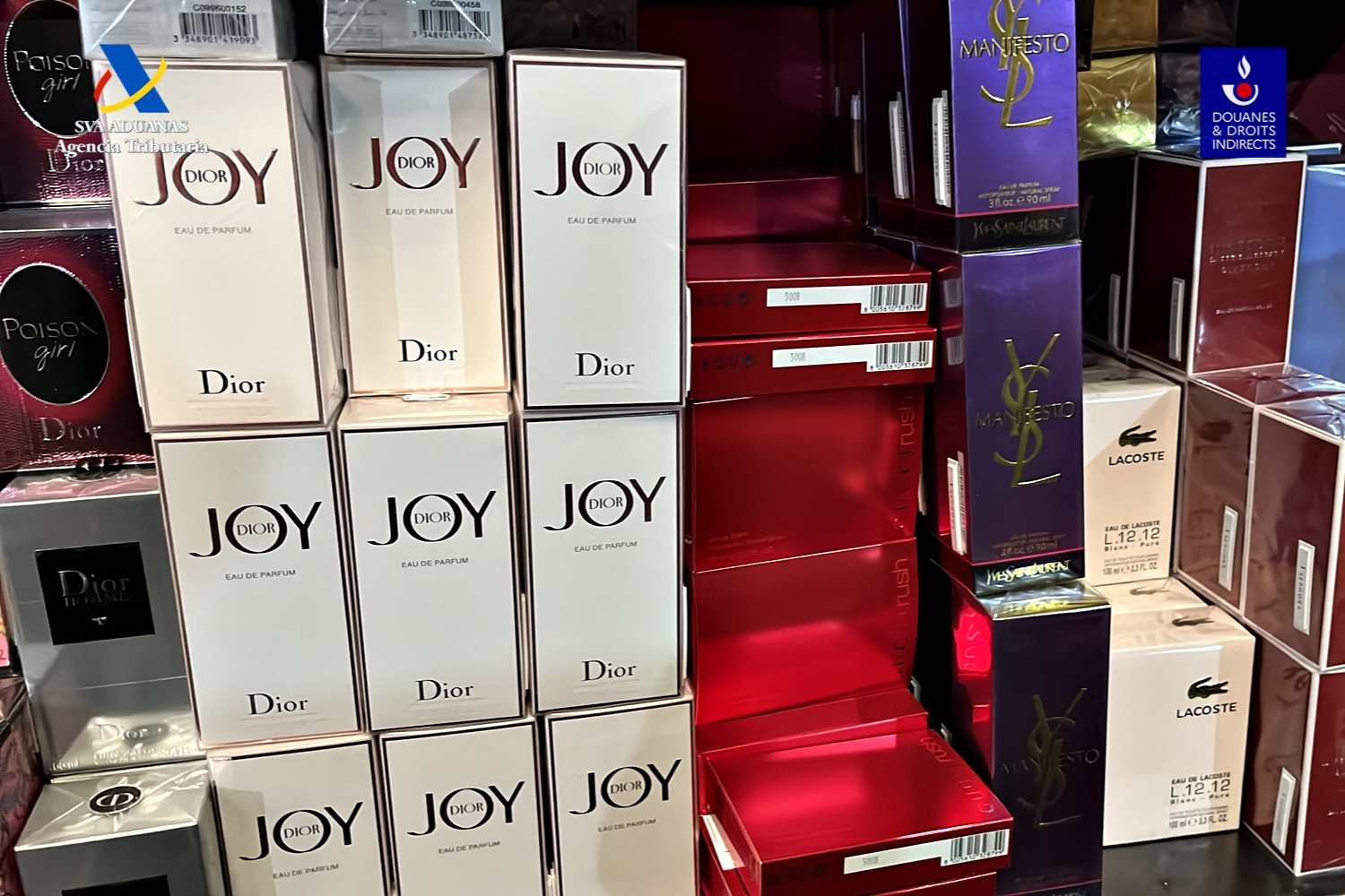 profumi contraffatti cover