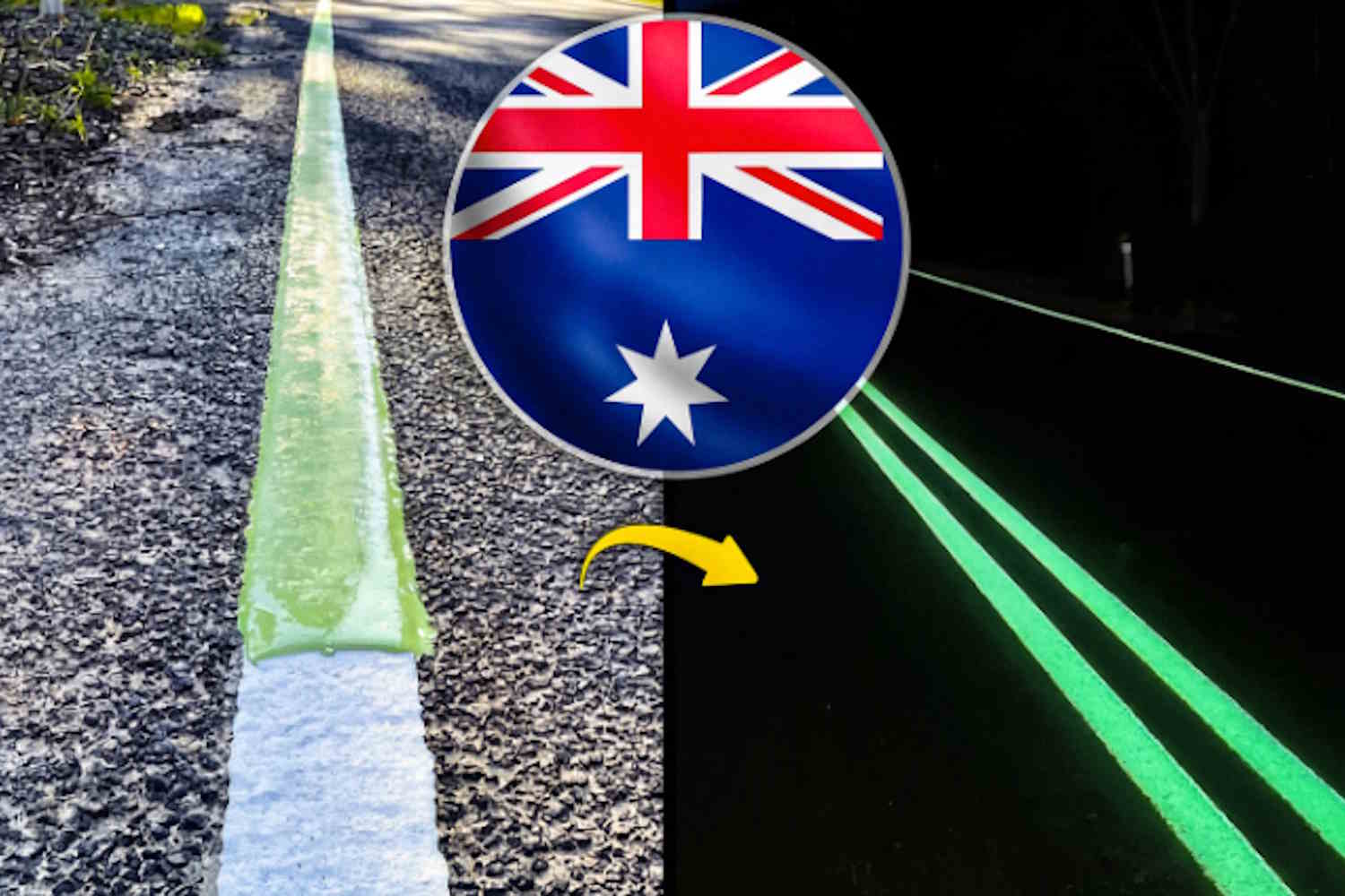 strade bioluminescenti