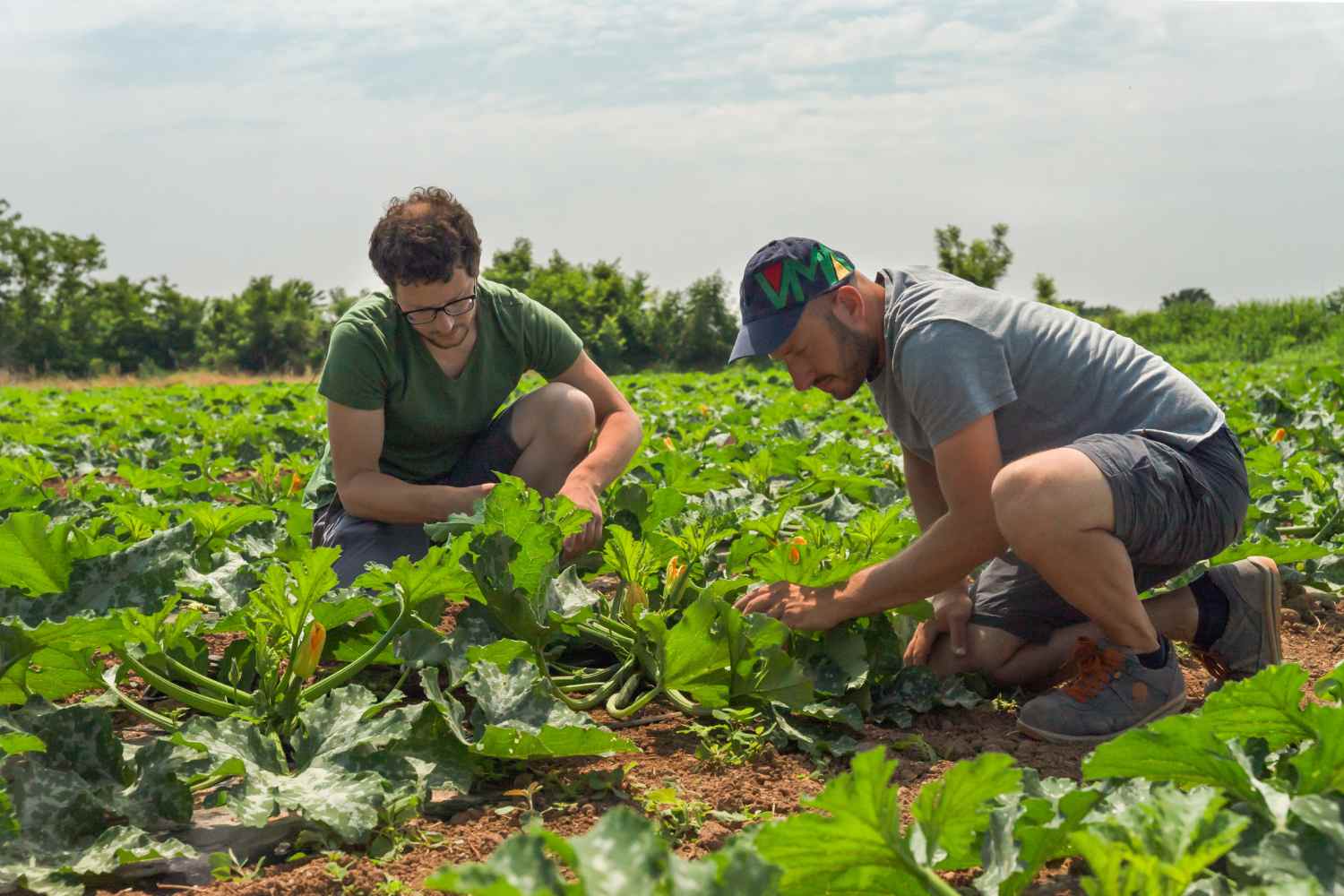 Agricoltori natura sì