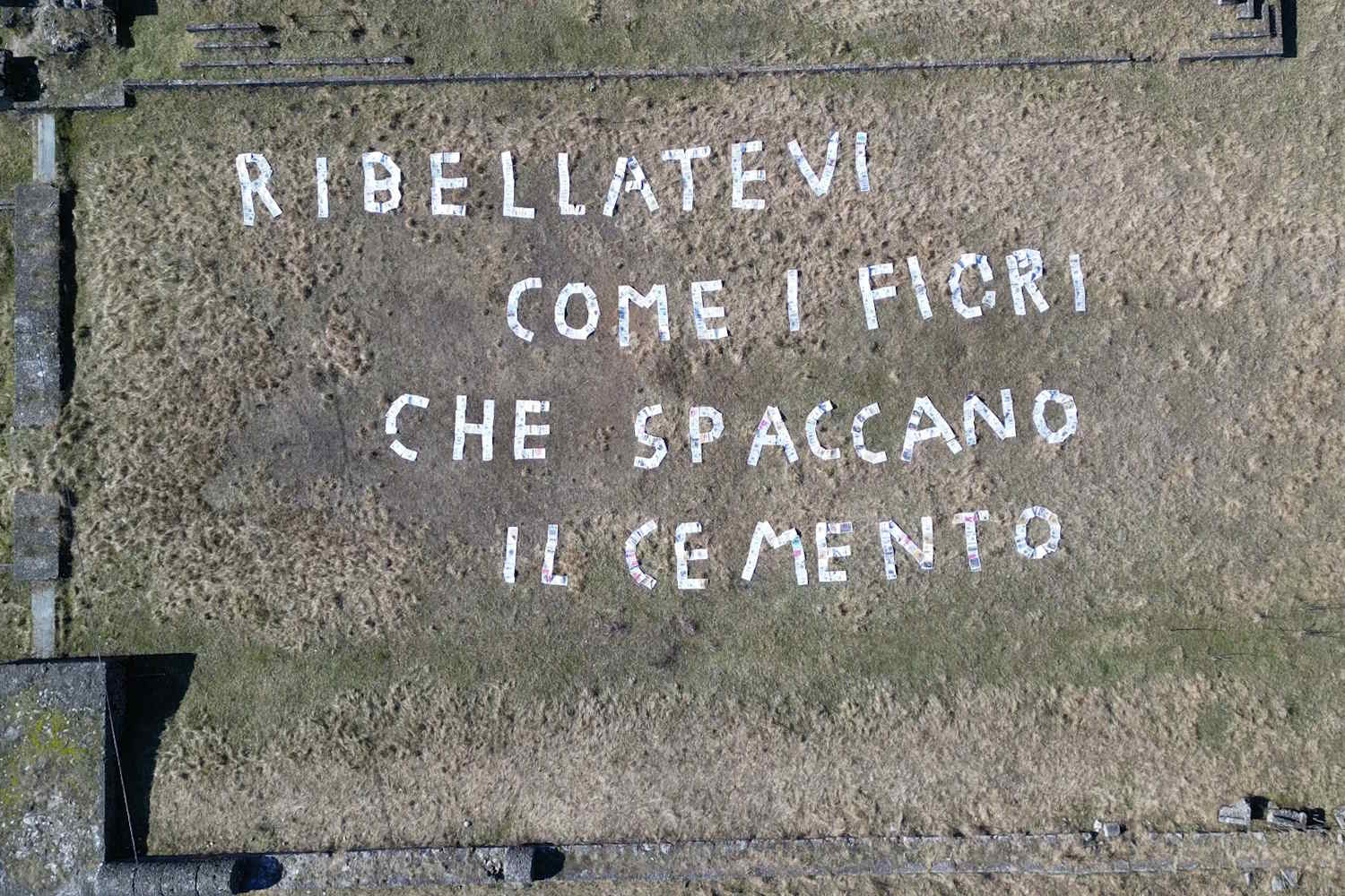 A poem has flourished on the Tagliamento: 500 newspapers asking to "give space back to the river"