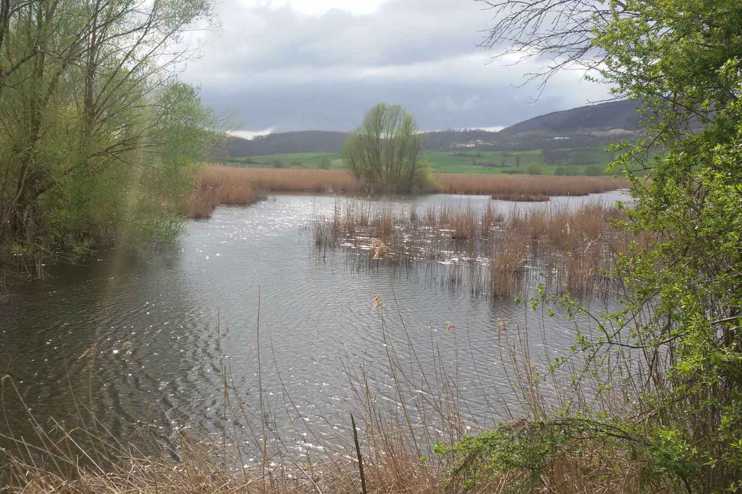 Because our survival depends on wetlands (but almost half of Italian ones are at risk)