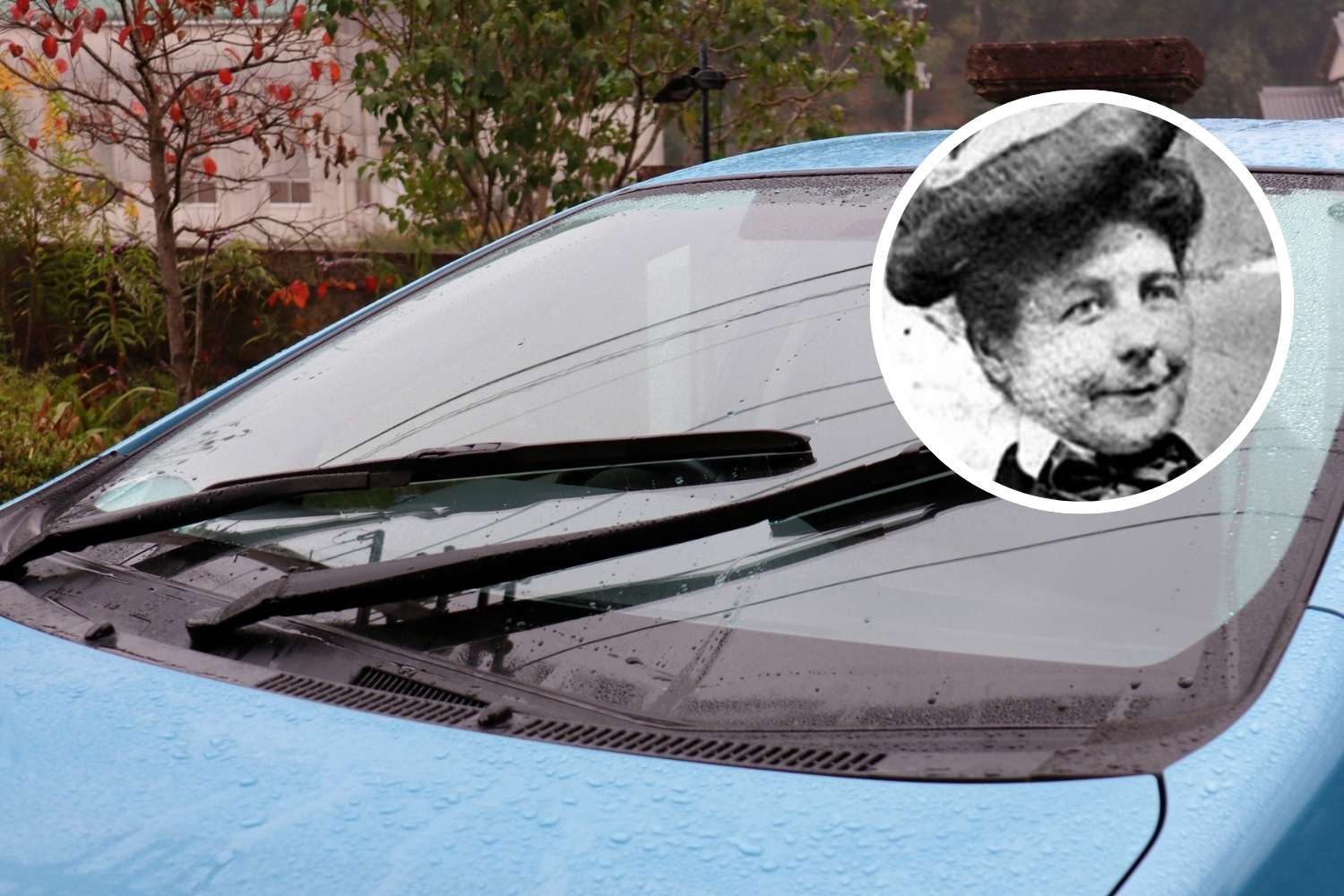 Mary Anderson tergicristalli