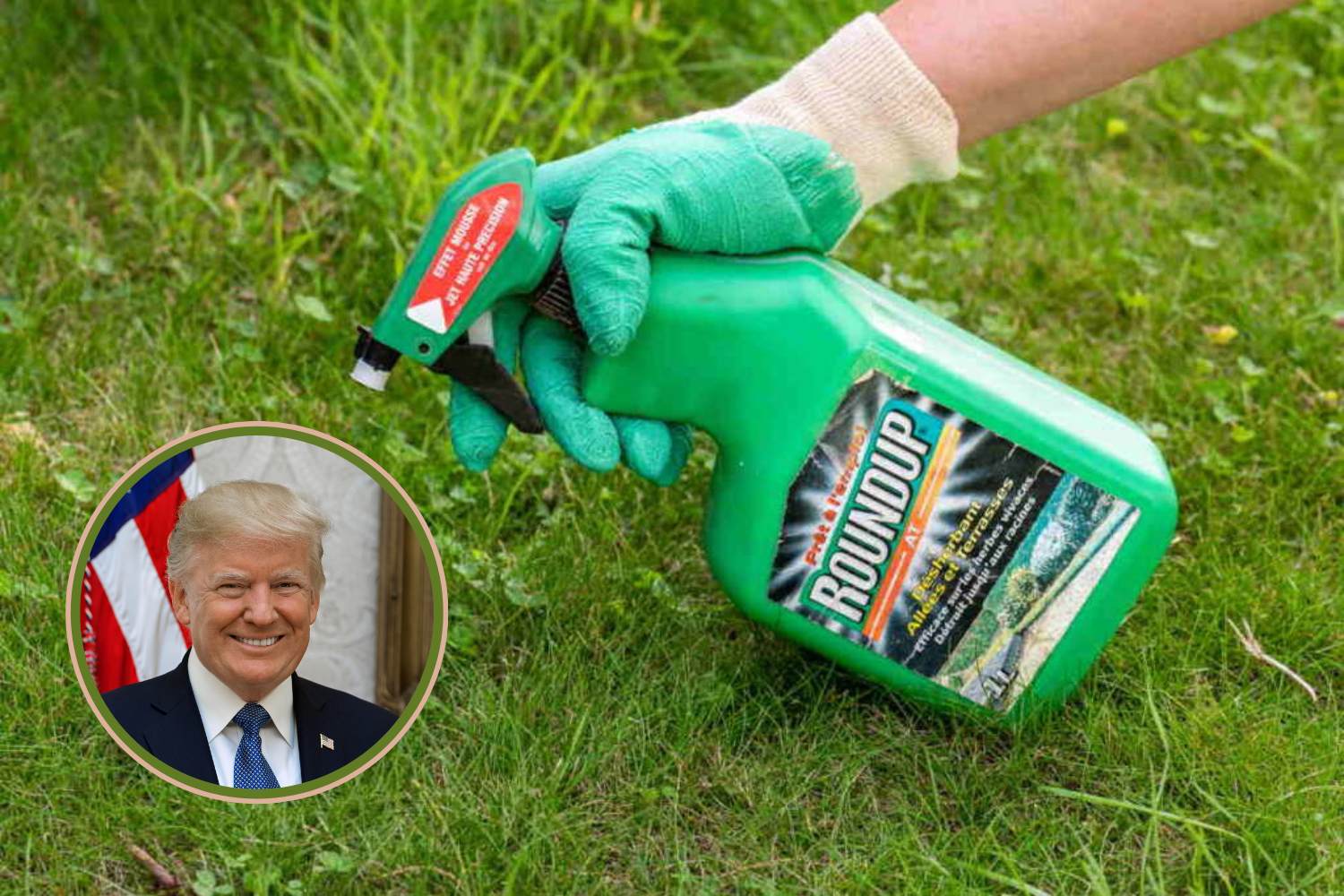 glifosato trump