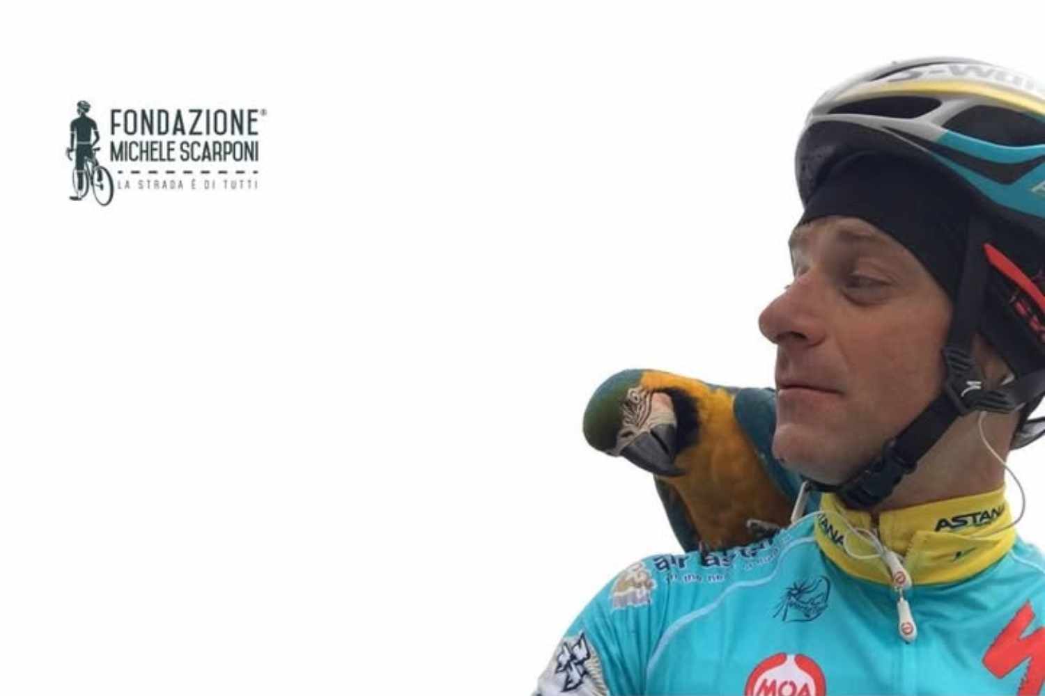 Frankie Scarponi