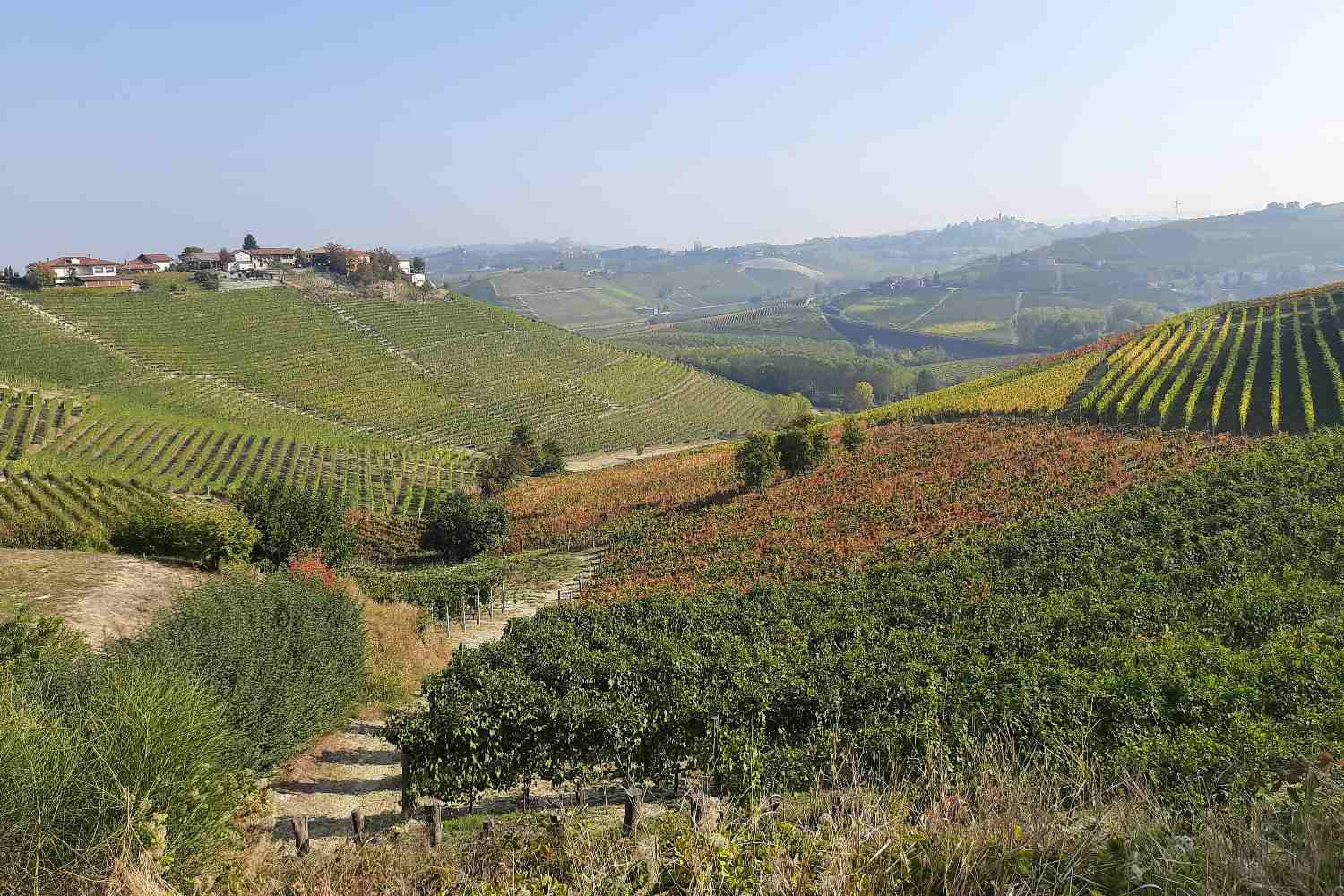 I went to discover the Langhe and I'll reveal the things you absolutely must see and do in 3 days
