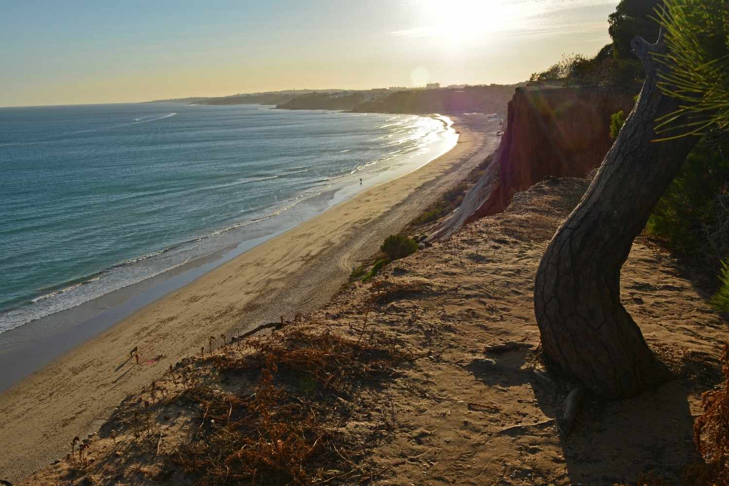 Praia da Falésia algarve