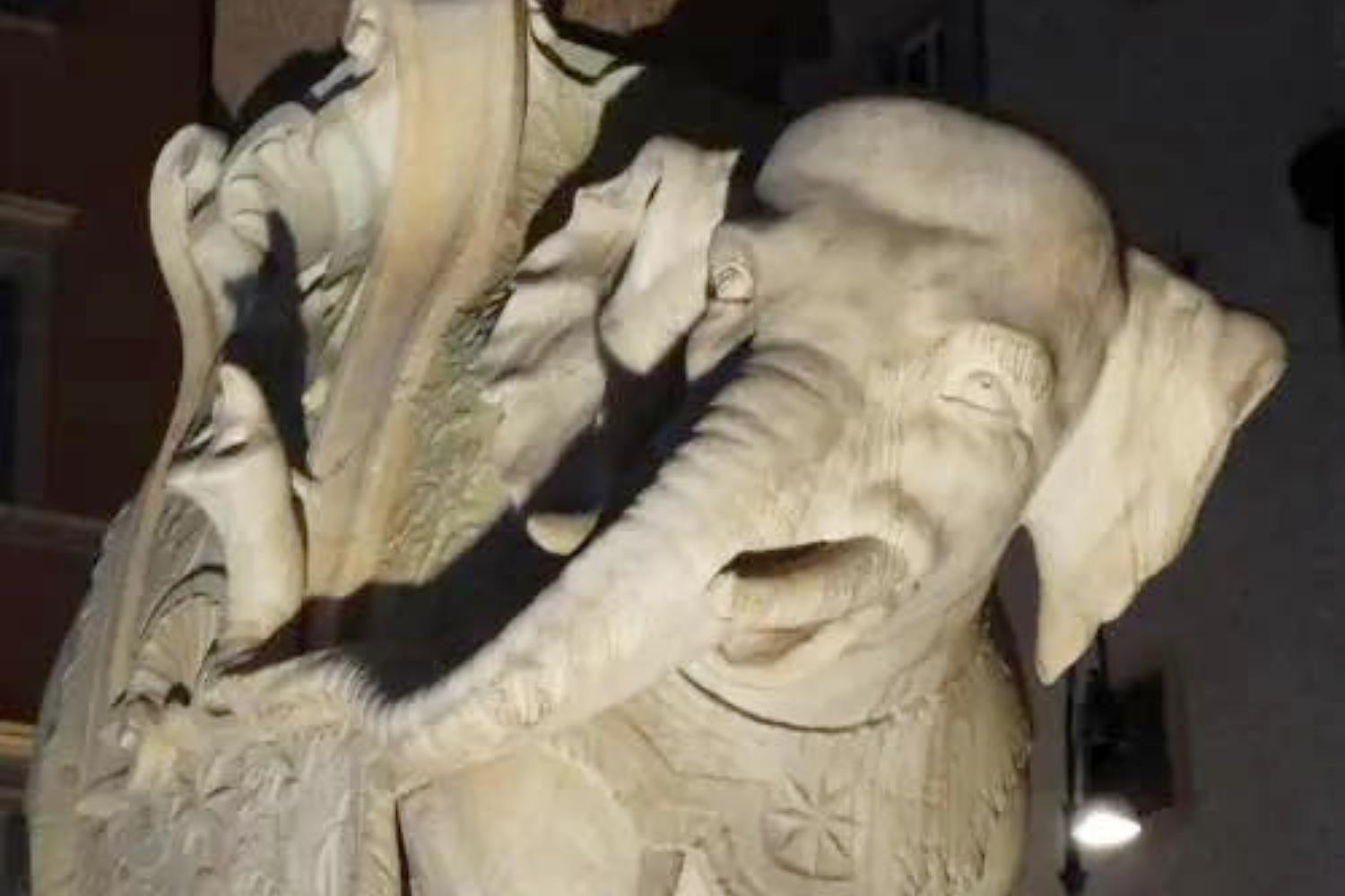 Elefantino danneggiato