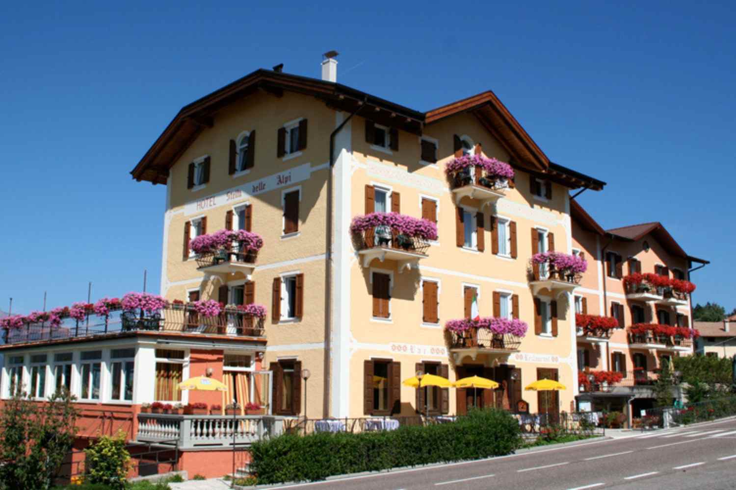 star hotel of the alps