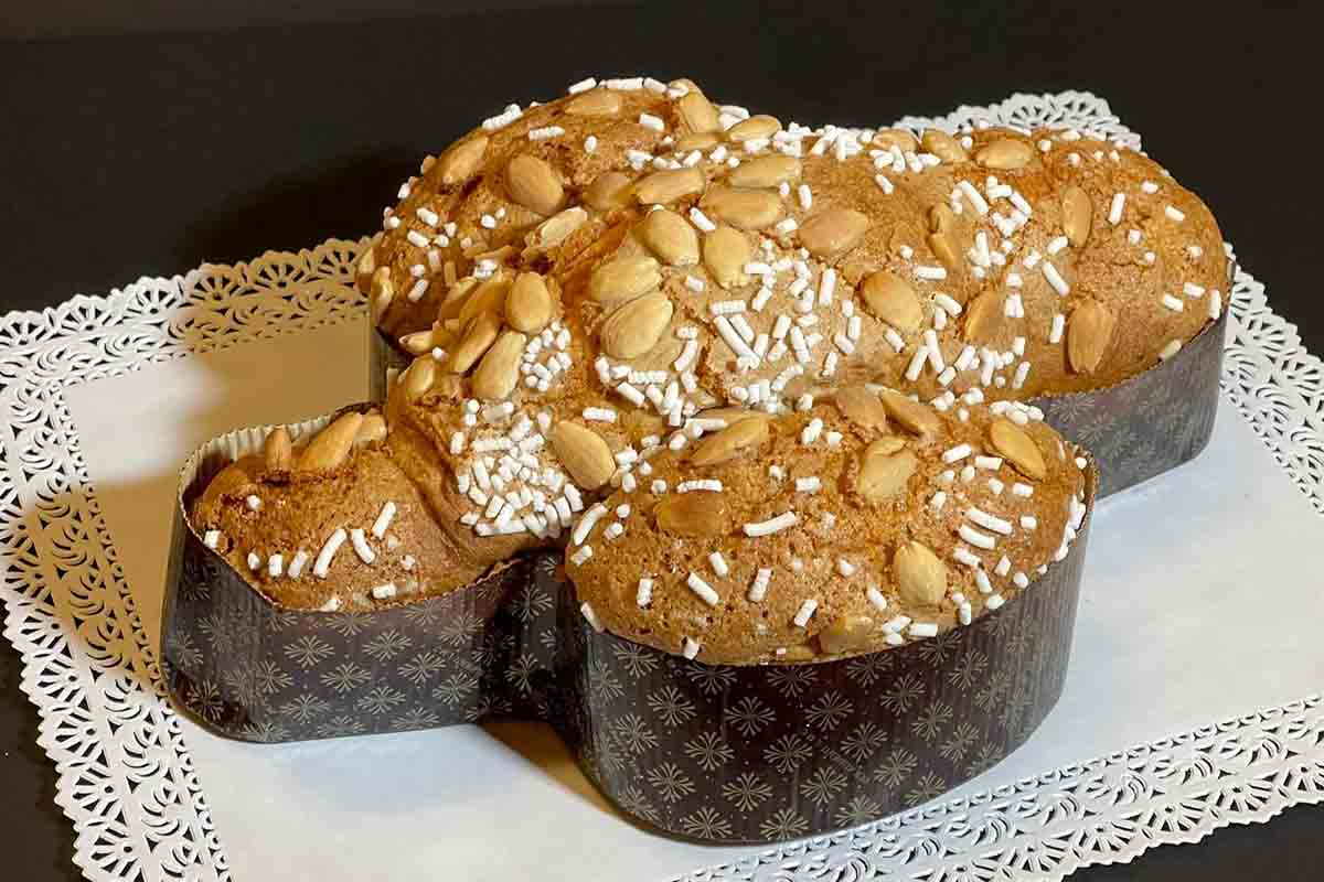 queen dove competition