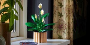 LEGO Botanicals plants on offer: the most beautiful sets to buy (or give as gifts) now that cost up to 30% less