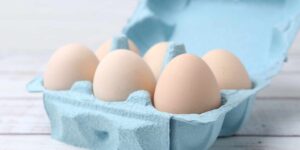 How to preserve eggs according to EFSA: the rules that (almost) no one respects