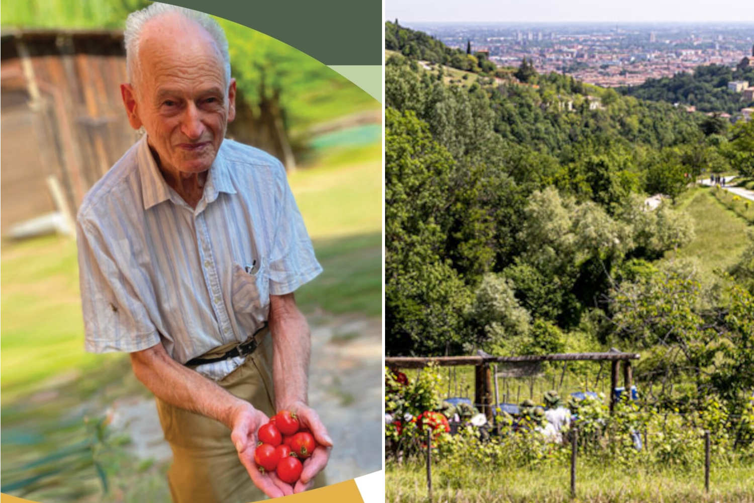 Pomodoro più a nord