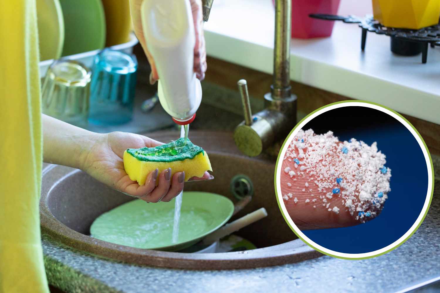 microplastiche spugnette