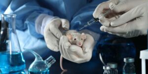 Finally the EU bans animal testing for detergents (but not all): what really changes and the many gaps that remain