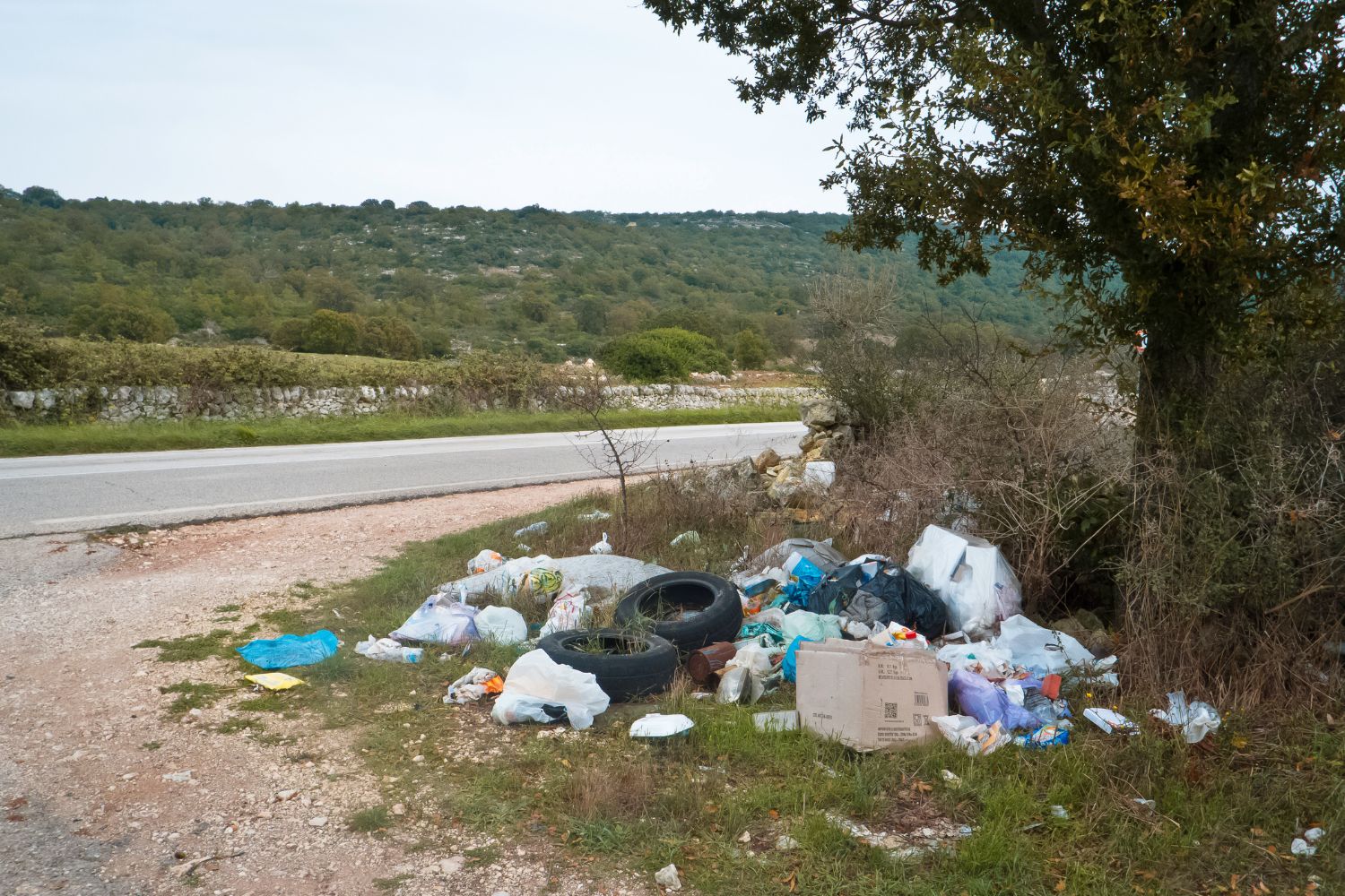 rifiuti abbandonati