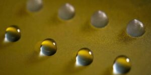 Scientists have discovered a soil fungus that can freeze water, which could be the key to manipulating the climate and making it rain without toxic substances.