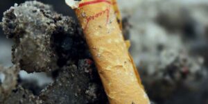 You don’t see them anymore, but they’re still there: study reveals what really happens to cigarette butts in soil