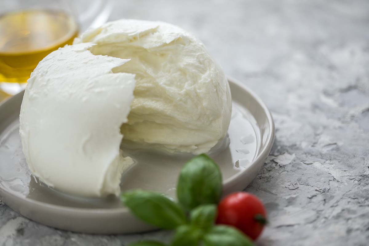 buffalo mozzarella
