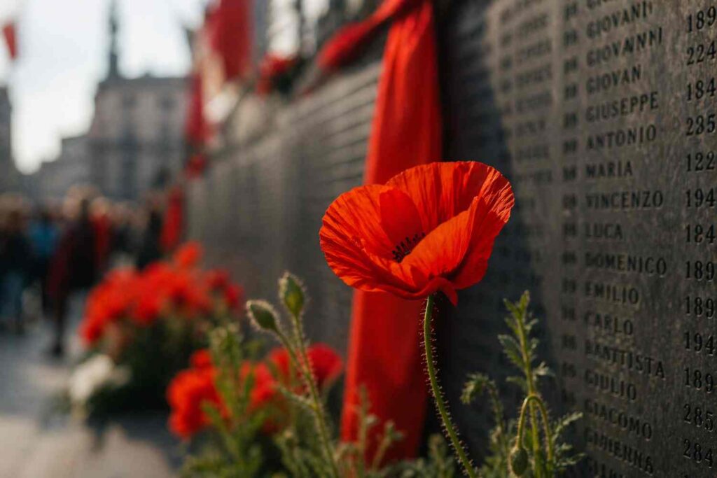 April 25: why did the red poppy become the symbol of the Italian ...