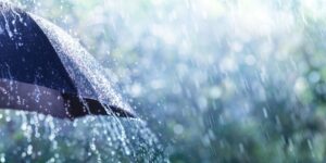 When will the mid-August storm arrive? Here are which areas will be most affected by storms