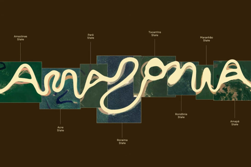 The new logo of the Brazilian Amazon is brilliant! The letters follow ...