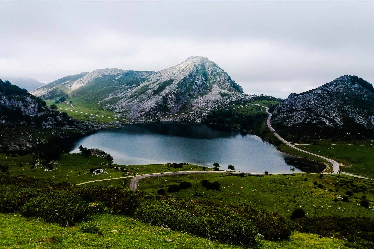 Picos de Europa