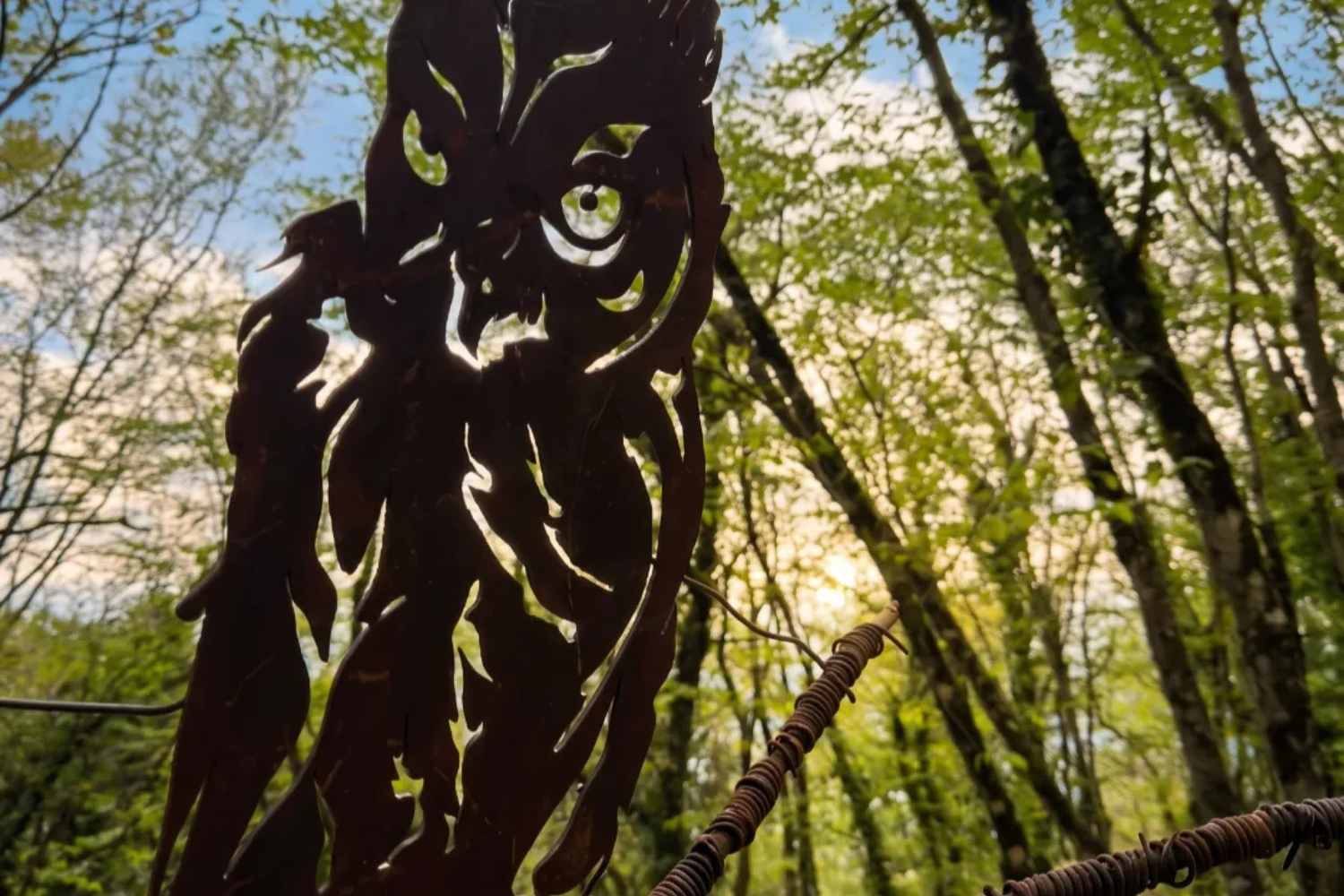 widespread owl museum