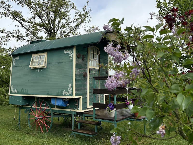 caravan donatello