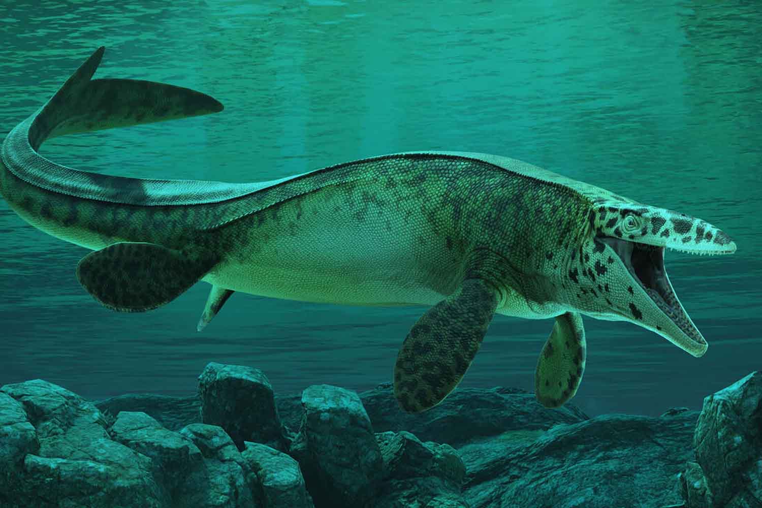 The "T. rex of the seas" discovered, with serrated teeth and predatory jaws, from 80 million years ago