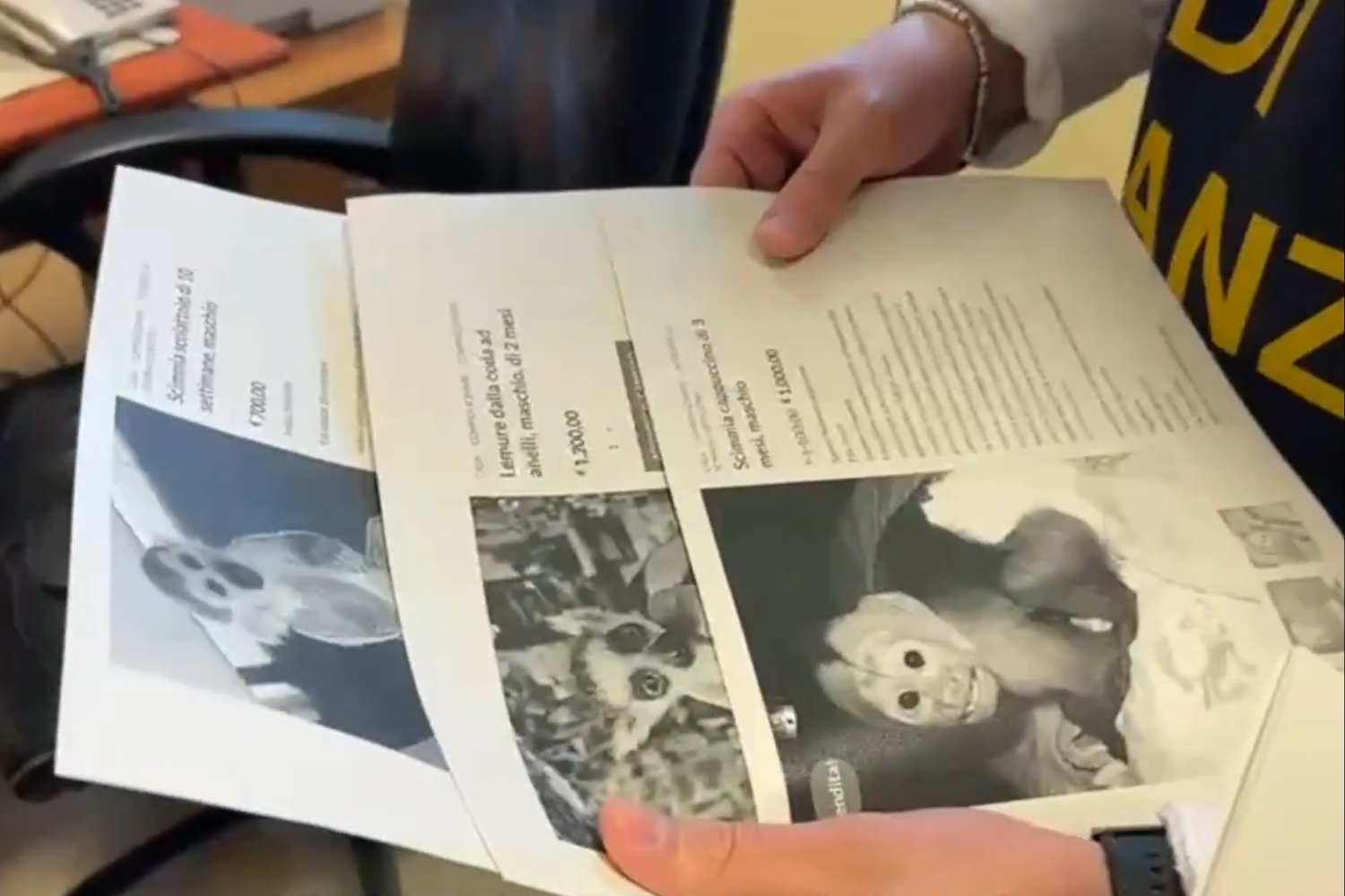 Falsi annunci animali