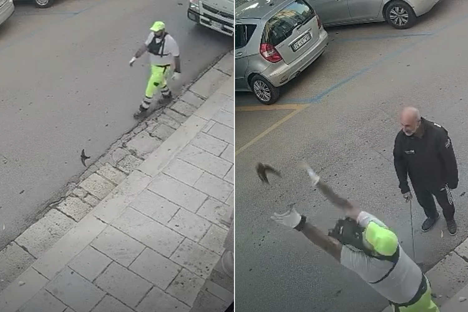 Saves a swallow, stuck on the asphalt, and helps it to fly: the gesture of this ecological operator will thrill you