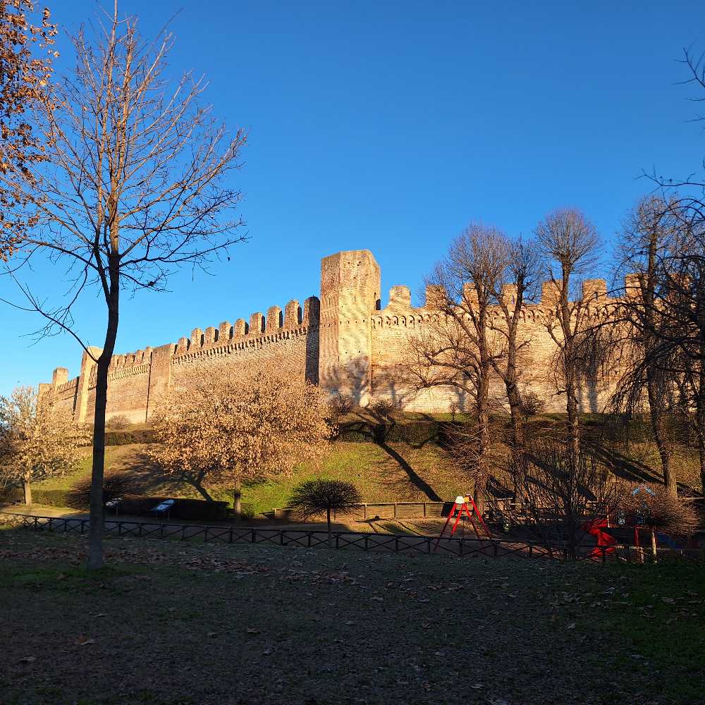 Citadel