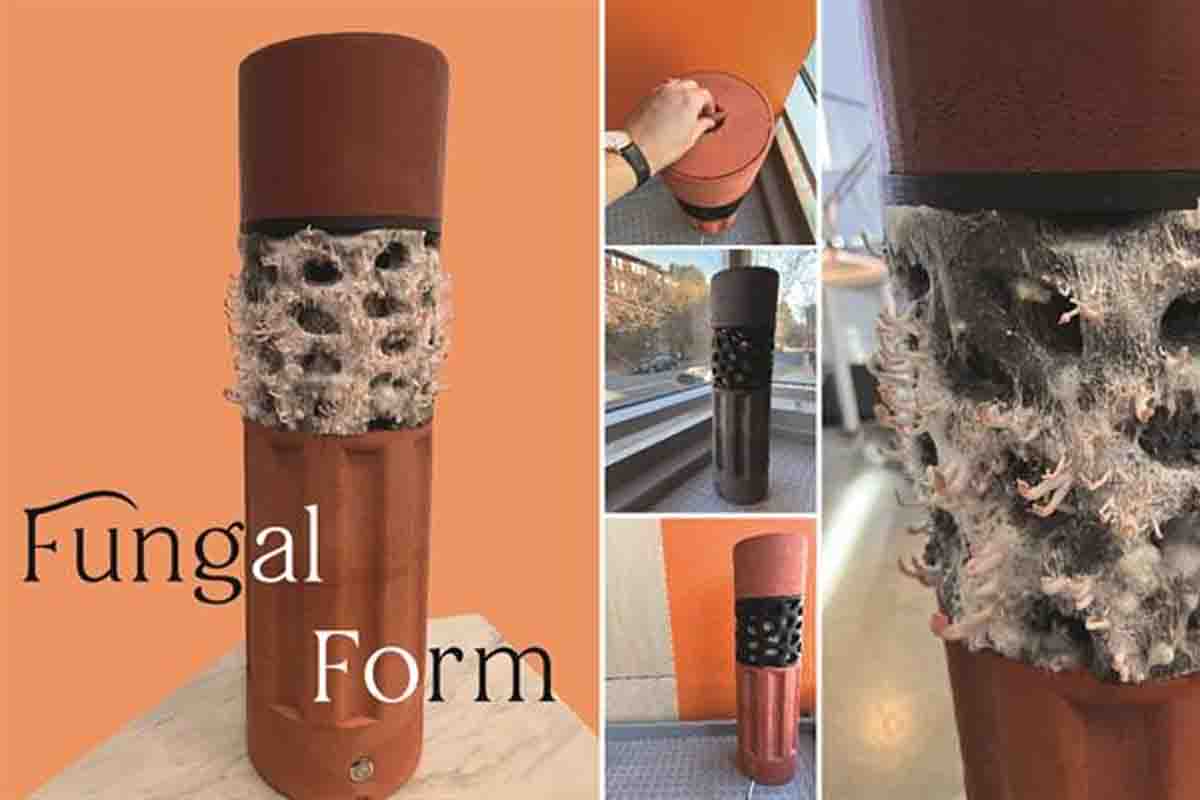 Fungal form