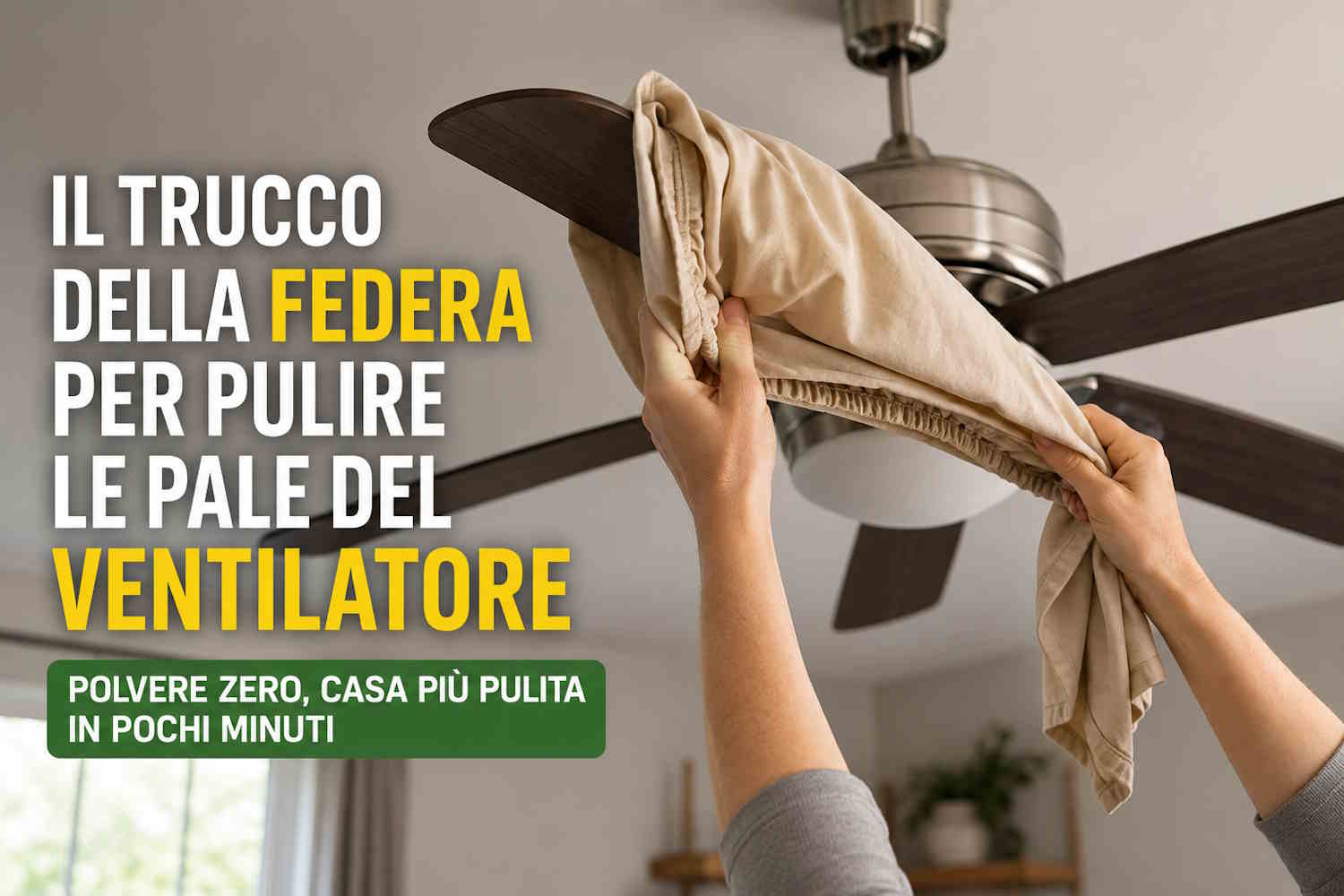 trucco federa