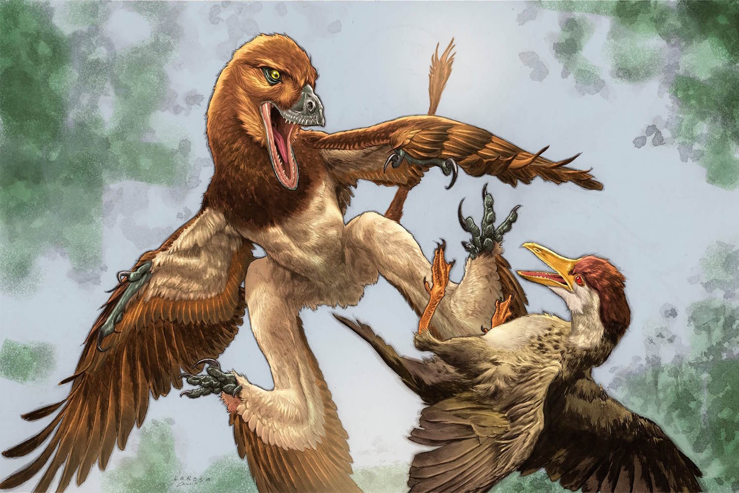 Scientists have discovered a new dinosaur in China, it's a "four-winged dragon"