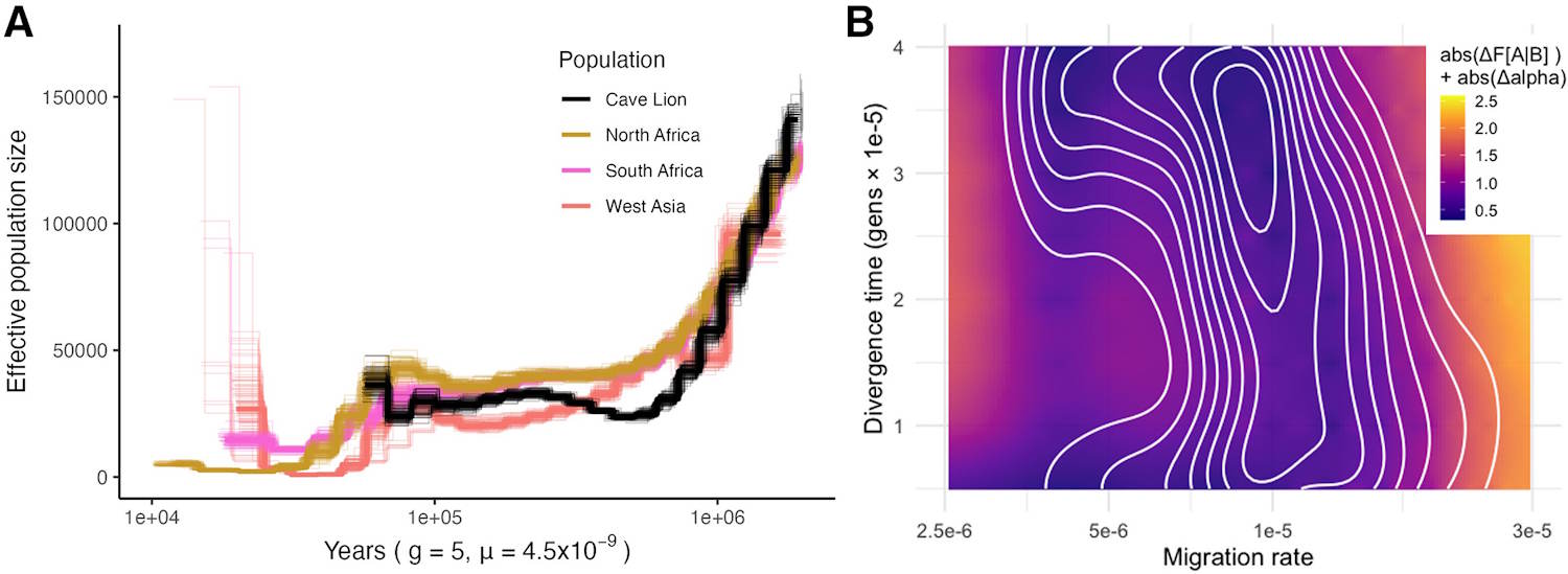 Cave lions extinction study